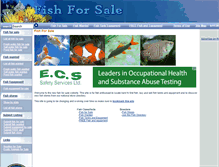 Tablet Screenshot of fishforsale.org